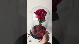 handmade natural preserved red rose in glass jars handmade natural preserved red rose in glass jars