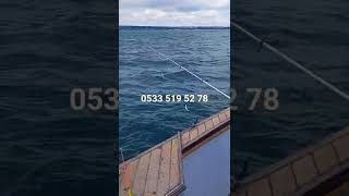 Ikavı Ikçılığı Üçükçekmece Ikçılığı