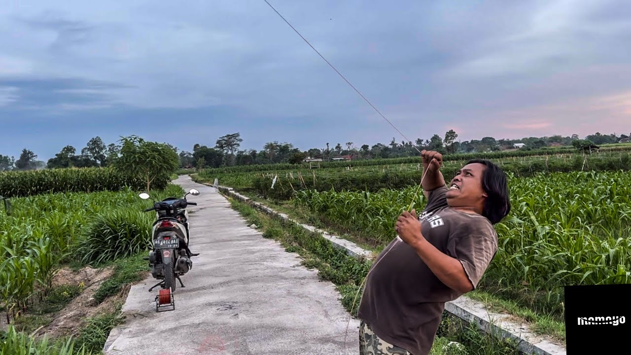 Layangan Uwer-Uwer Malah di Lepasin Pak Ndon😭