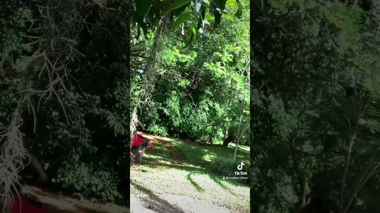 Good old quad send stuck in 4wd nearly lost it 