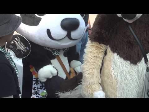 140921_和み柴っこ[02]ドンファンの尻尾を揺らす