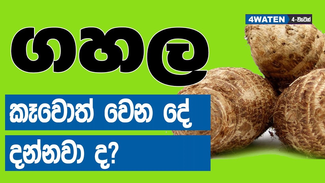 ගහල කෑවොත් මොකද වෙන්නෙ Benefits of yams YouTube