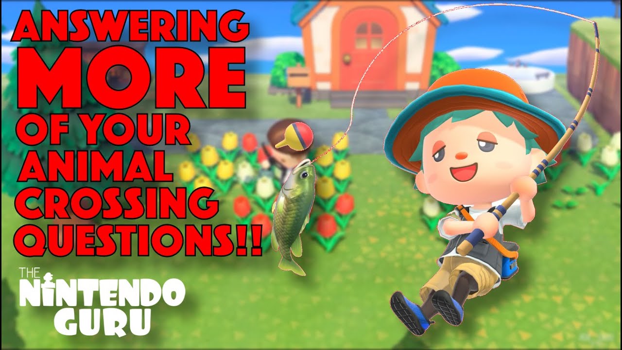 Answering MORE of your Animal Crossing QUESTIONS! | Nintendo Guru - YouTube
