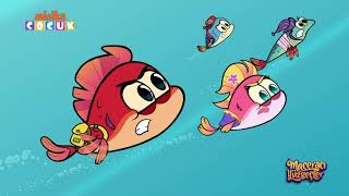 Maceracı Yüzgeçler Arkadaşın O Senin