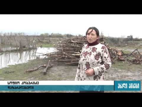 ევაკუირებული დევნილები ჩასახლებაში დააბრუნეს 16.11.2015