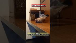 Kira Kira Yang Beli Jaguar Sudah Balik Modal Belum Ya Bro