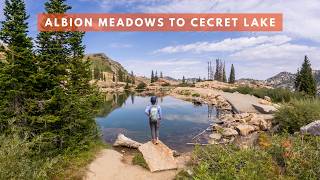 You can see Salamanders and Wildflowers on this Utah's Hike!
