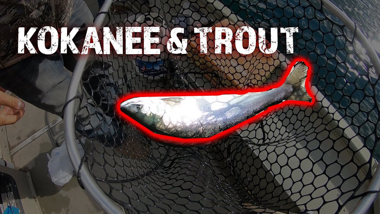 Kokanee & Trout Fishing on Wallowa Lake - YouTube