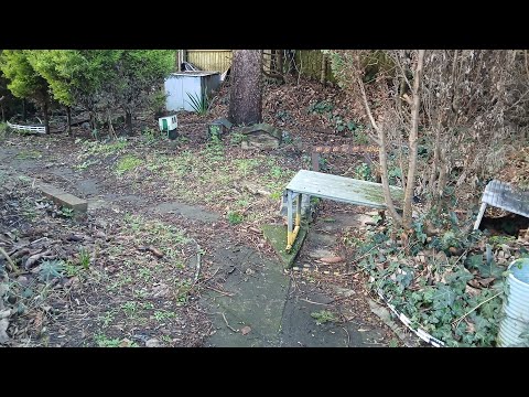 7 February 2026 garden 