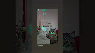 Giden Gitmiştir Gittiği Gün Bitmiştir