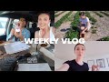 VLOG: strawberry picking, scheduling uni courses, going out for dinner