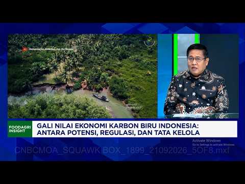 Ministry of Marine Affairs and Fisheries Explores Blue Carbon Economic Potential, Could Generate ...