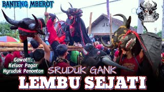 Download lagu Gawat!!,, Kalapan Ganas LEMBU SEJATI Live Gondang Utara Singosari