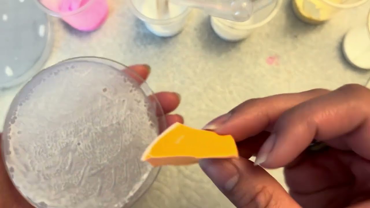 Interactive Culture Plates by Dana A.