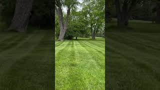 New channel for my Lawn Care business this video is laying stripes with a non stripping kit mower