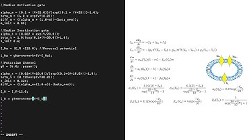 openCARP - Writing a cellular model in EasyML and converting it to openCARP