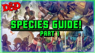 Every D&D 2024 Player Species In-Depth Review! (From A to G)