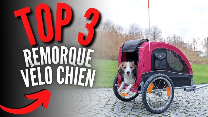 Faire du vélo avec un chien accessoires WALKY DOG - DOGFRENCHTOUCH