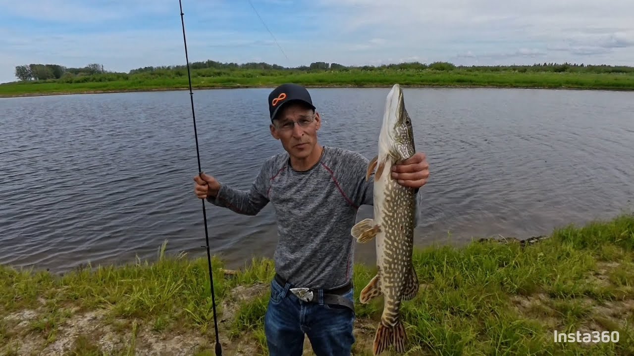 Свежая щука на гриле