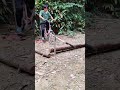 bicycle-powered automatic saw