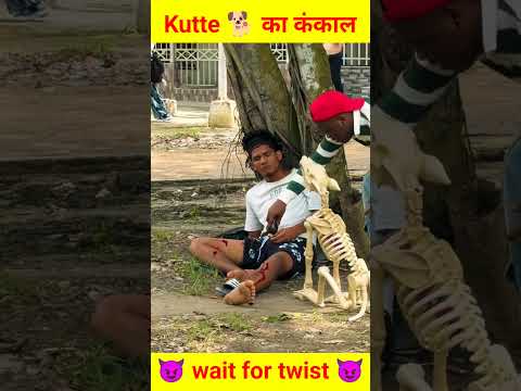😈🔥 Kutte को देखते ही इस लड़के ने जो किया उसे देखकर आपके होश उड़ जाएंगे। 🔥😈 || #shorts #factfile1m