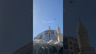 #ذوالحجة #اكسبلور #القرآن_الكريم #تلاوة_خاشعة #اللهم_امين #تصميمي #دعا #راحة_نفسية #لايك #foryou #q8