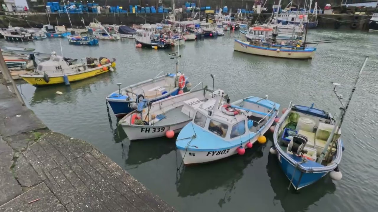 Vlog 30   February 10, 2026