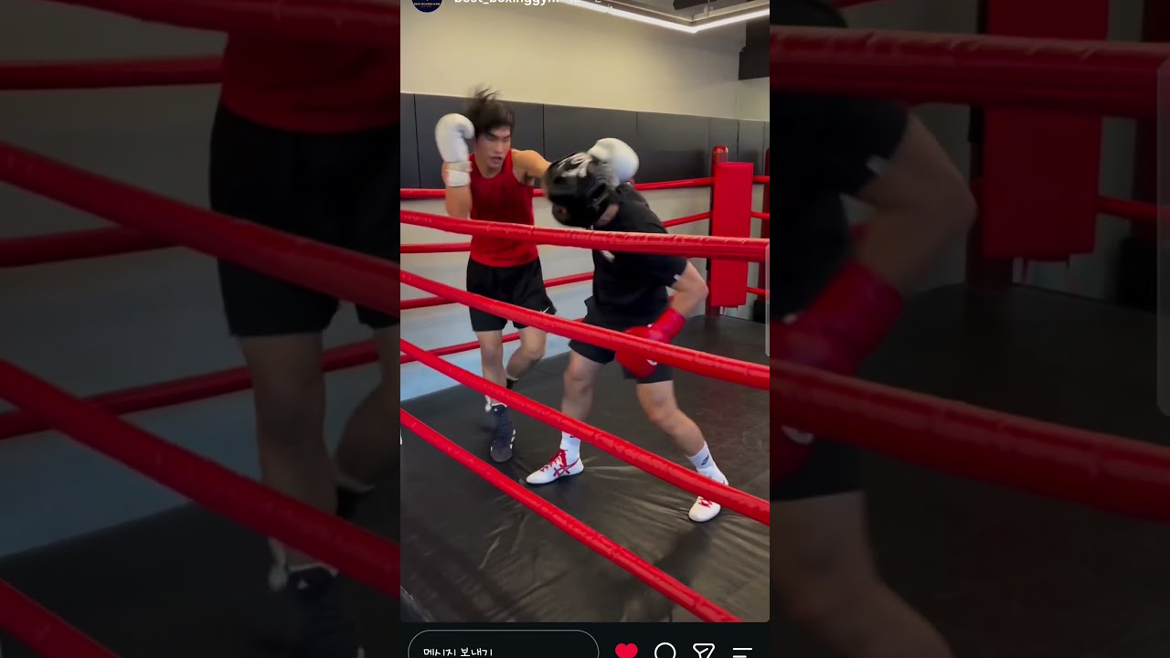 부산 명지 베스트복싱짐 목요일은 스파링데이 나이를 극복한 스파링 대단들합니다 ㅎㅎ