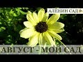 АВГУСТ 2018 МОЙ САД и ОГОРОД / Garden's tour August 2018