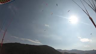IMG 0480