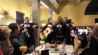 Mariachi Nuevo Estilo A.D.M. - Sexy And I Know It by SV 89,592 views 10 years ago 2 minutes, 36 seconds