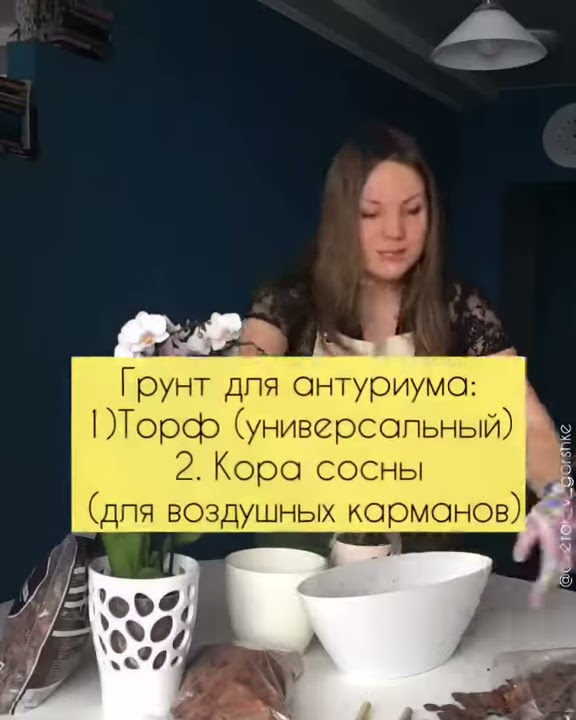 Антуриум. Грунт для антуриума и орхидей - YouTube