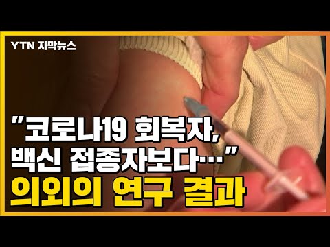 [자막뉴스] "코로나19 회복자, 백신 접종자보다..." 의외의 연구 결과 / YTN