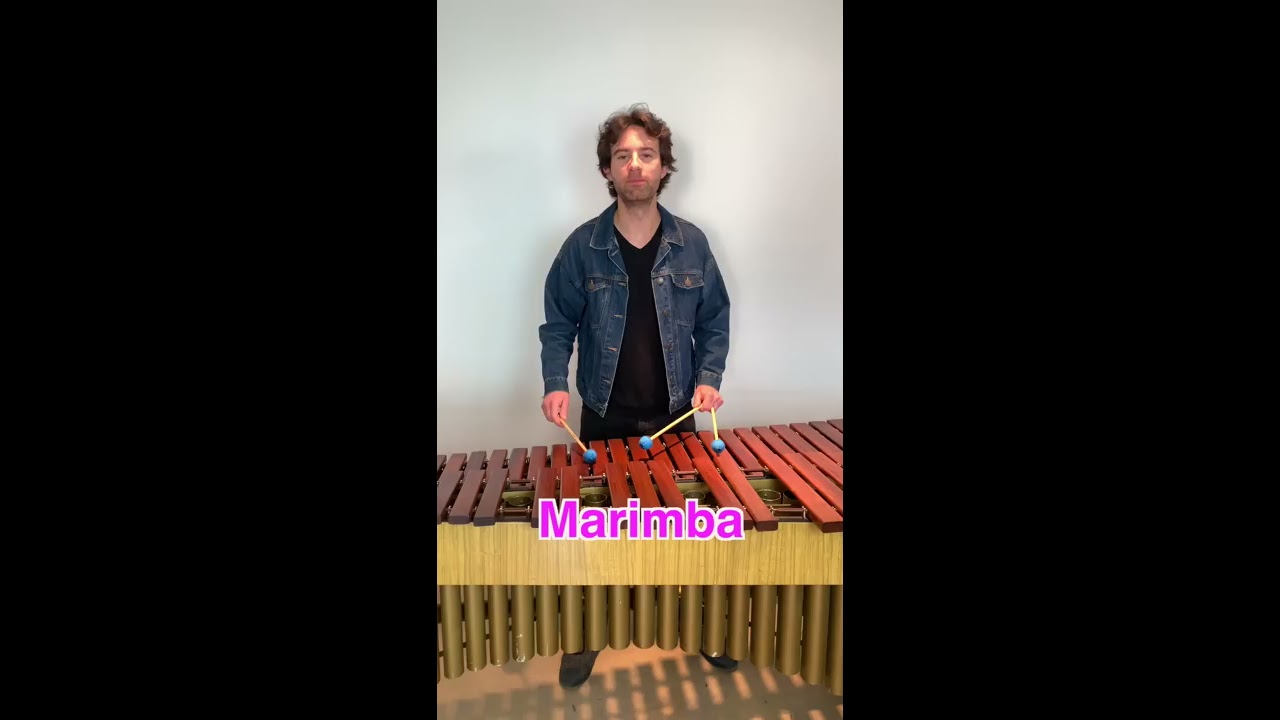 Opening iPhone Ringtone on 4 Different Mallet Instruments
