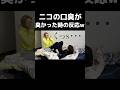 謝るとことか優しさ出てるりんりん #切り抜き #にこちゃん #りんりん #ドッキリ #にこ #りほ #ニコちゃん #ニコ #nico#平成フラミンゴ#平フラ