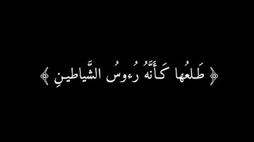 🤍اذَالِكَ خَيْرٌ نُزُلاً ام شَجَرَةُ الزَّقُوم 🤍كروما شاشة سوداء 🤍 سورة الصافات الشيخ ياسر الدوسري🍃