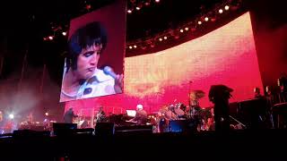 Elvis Presley - Suspicious Minds ( Live With The Royal Philharmonic Orchestra)