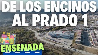 Ensenada Baja California Explorando las Colonias Los Encinos y Prado 1 | ¡No te Pierdas este Tour!