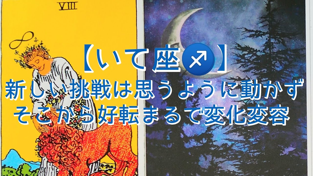 【いて座♐】〜貴方に降り注ぐ変化の波〜 新しい挑戦は思うように動かず そこから好転まるで変化変容