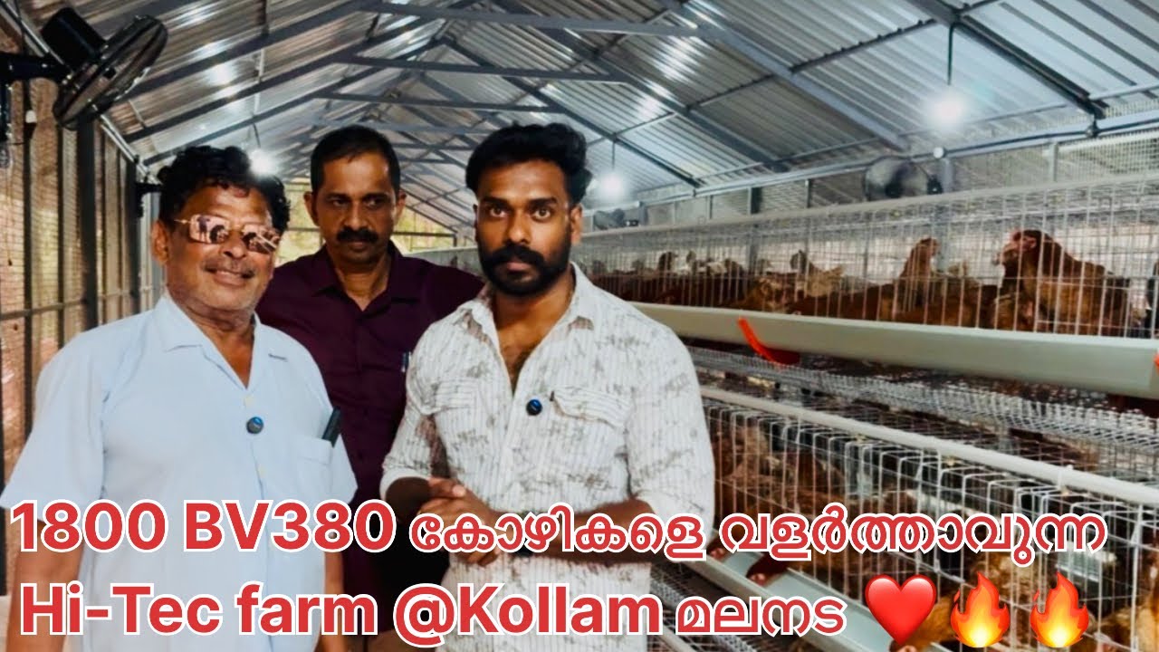 1800 BV380 കോഴികളെ വളർത്താവുന്ന ഹൈടെക് ഫാം work @ Kollam malanada👈👈❤️
