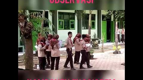 Praktikum observasi komponen ekosistem. Oleh siswa MTSN 7 BLITAR