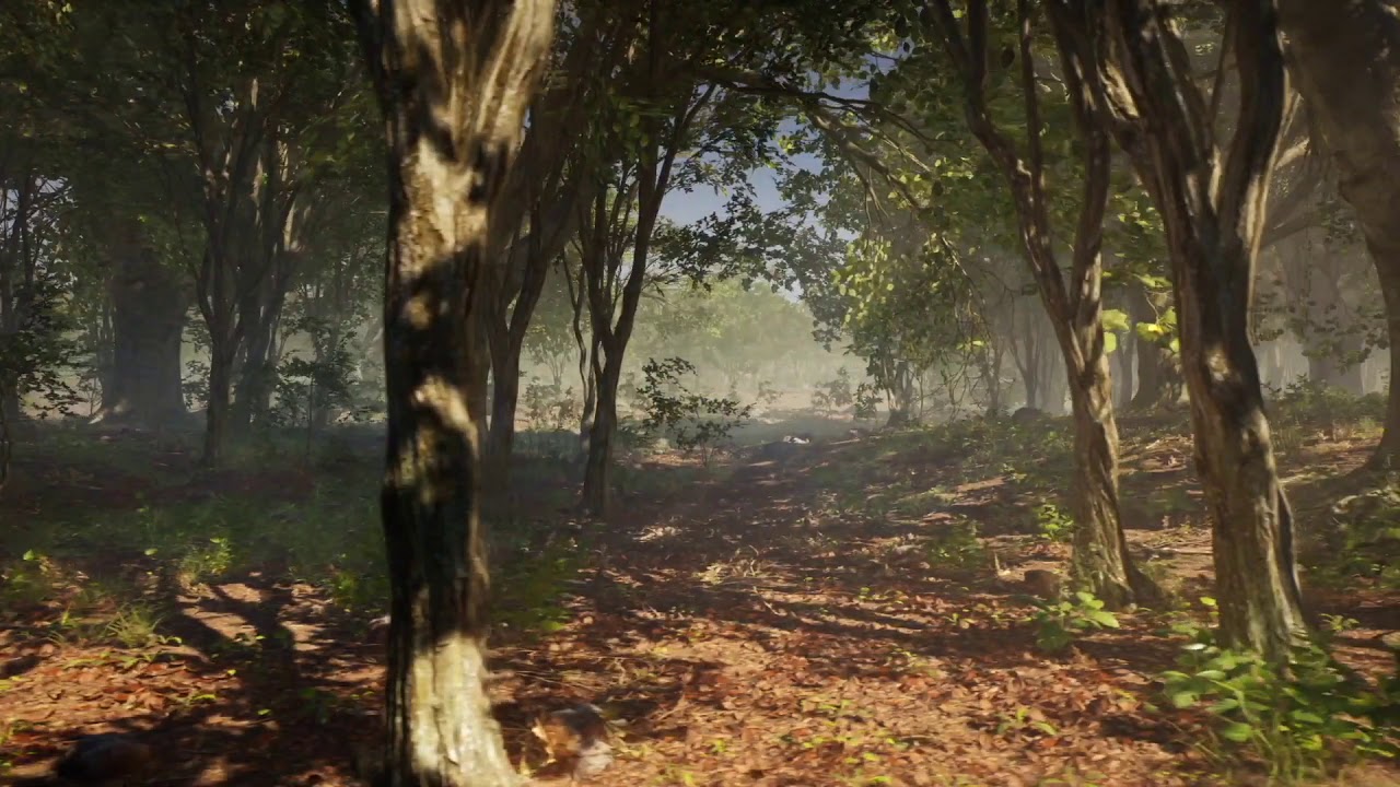 UnReal 4.23 Procedural Forest Render Test. - YouTube
