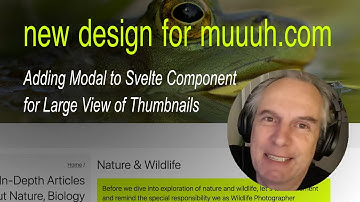 🛠️ Adding Modal to Svelte Component for Large View of Thumbnail