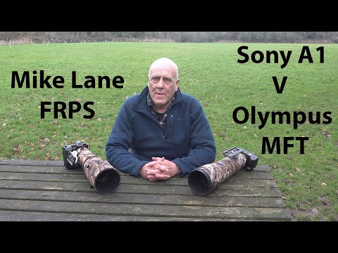 Full frame Sony A1 versus Olympus M1X MFT. Which is best. You decide.