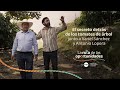 Tomate de rbol de colombia  antonio lopera  ruta de las oportunidades  grupo xito