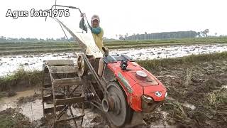 Traktor Sawah Selesai Nyingkal ‼️Traktor Sawah Langsung Dicuci Dan Beres-beres Untuk Pulang