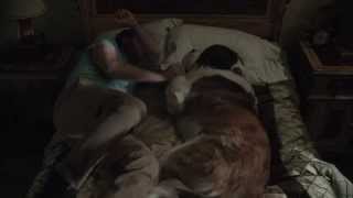 Beethovens Treasure Tail - A Nice Bed - Blu-Ray & Dvd 1028