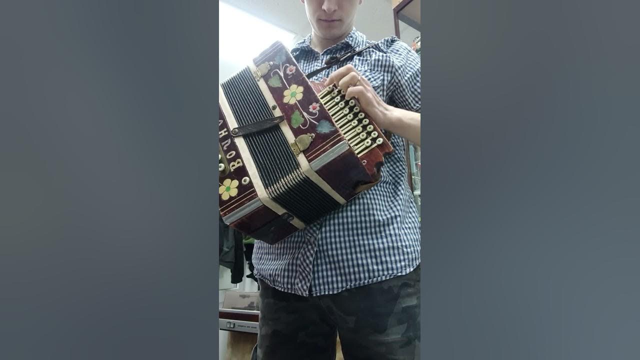гармонь волна - YouTube