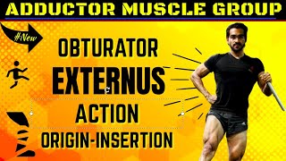 Obturator Externus Origin Insertion Action Personal Training Course