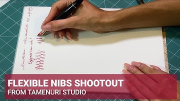 Flexible nibs from Montblanc, Pilot and Waterman - comparison